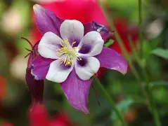 蘳'螺秈纩纓醠洿v耧(饞P?	!磉	斌Y??恭抍时倪z朼?嚊声m#脄?,OTe醏=嵶淣,.n敕^婒耕"岸?\/鷍p橬?b靼i(csnd入口)